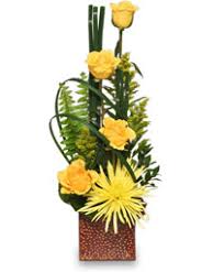 Avas flowers st george utah. Saint George Florist Saint George Ut Flower Shop Desert Rose Floral