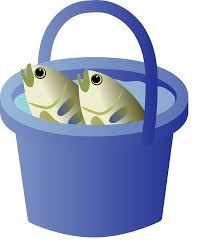 All png & cliparts images on nicepng are best quality. Bucket Of Fish Clipart Free Download Transparent Png Creazilla