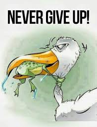 Martial Arts Humor And Inspiration Funny Cartoons Martial Arts Humor Dont Ever Give Up Martial Arts