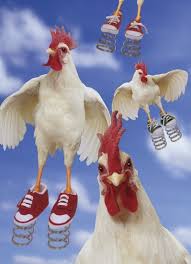 Caller Says He Found Foot Shoe Near Scioto River Chicken Humor Funny Chicken Pictures Chicken Pictures