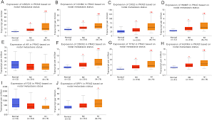 The hormones that your thyroid gland produces help regulate several of your bodily functions. Identification Of Key Genes And Multiple Molecular Pathways Of Metastatic Process In Prostate Cancer Peerj