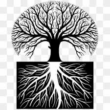 Choose from 970+ tree roots graphic resources and download in the form of png, eps, ai or psd. Free Tree Roots Silhouette Png Transparent Images Pikpng
