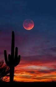 Ben Branson Bbran38428 - Profile Pinterest