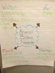 Animal Basic Needs First Grade Science Third Grade Science Kindergarten Anchor Charts