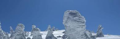 Image result for Hakkoda Walk