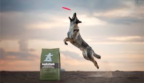 The all new k9 tactical gear collar was built with dogs of all activity levels and fashion sense in mind. Inukshuk Professional Dog Food