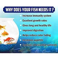 Pin On Kebeeshopee Com