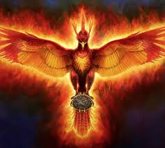 Shop unique custom made canvas prints, framed prints, posters, tapestries, and more. Best Images About Phoenix Tattoos Ideas On Pinterest Phoenix Bird Images Hd Download 2342x2100 Wallpaper Teahub Io