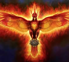 Phoenix bird rising out of the fire. Best Images About Phoenix Tattoos Ideas On Pinterest Phoenix Bird Images Hd Download 2342x2100 Wallpaper Teahub Io