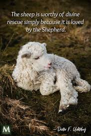 I am afraid of an army of sheep led by a lion. Restoring The Lost Sheep 26 June 2019 Lds Daily Church Quotes Sheep Quote The Good Shepherd
