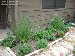 There should not be any hustle to move forward and become an artist, and thus, going for one of simple landscape drawing ideas, such as a mountain drawing can do the job. Easy Landscaping Ideas For Beginners Need Some Landscaping Help Forum Beginner Landscaping Back To Post Beginners Landscaping Easy Landscaping Easy Garden