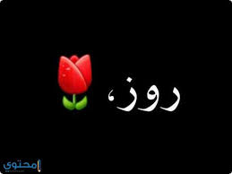 معنى اسم روز وصفات شخصيتها rose معاني الاسماء rose اجدد صور اسم روز