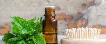 زيت الجوجوبا في صيدلية النهدي زيت الجوجوبا في صيدلية النهدي من أفضل الأنواع في السوق