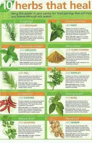 Pin By Nick B On Dyk Healing Herbs Herbs Natural Health Remedies