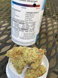 Red Headed Stranger From Revolution Iltrees
