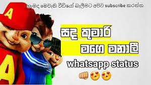 We did not find results for: Sadakumari Bus Accident Sadakumari 1 Bus Lahiru Bro
