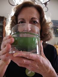 A New View of Healthy Eating: Daily Healthy Recipes by Melanie Albert:  Drink Matcha Tea Today!