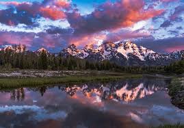 Image result for reflection