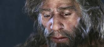 Tali sono ancora oggi le scimmie che popolano le foreste dell'america centromeridionale e. Un Po Piu Di Neanderthal Nel Nostro Genoma Le Scienze