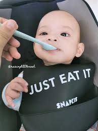 Hi all, I have apple puree that my son refused to it. Don't want to throw  it away, how else I can use it?