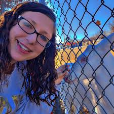 Cheapest car insurance options compared to Progressive