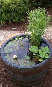 Each item is packed in the brow box. Saw This At The Fair Make Your Own Water Feature Aquatic Plants Growing In Barrel Miniat Container Water Gardens Water Features In The Garden Ponds Backyard