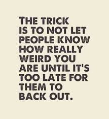 33 Best Quotes Funny Hilarious 15 Funniest Quotes Ever Personality Quotes Fun Quotes Funny