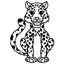 How to draw a leopard step by step. How To Draw Laughing Leopard Drawing In 3 Simple Steps Leopard Drawing Leopard Sketch Snow Leopard Drawing