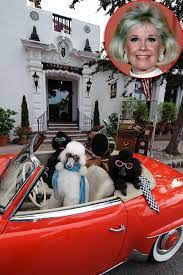 Carmel terry's restaurant & lounge attracts a colorful combination of locals, guests and canines Beruhmte Hotelbesitzer Ubernachten Bei Den Stars Gala De