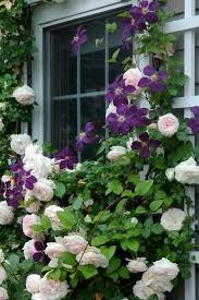 Classic Garden Von Mj Mccabe Garden Design Classic Design Garden Mccabe The Right Choice Of Colours And Plants M Plants Flower Garden Climbing Roses