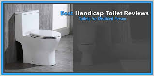 Best Handicap Toilet Reviews 2019 Toilets For Disabled Person