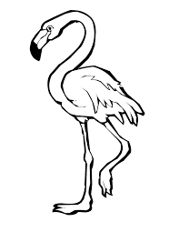 Baby flamingos are born either gray or white and turn pink in the first few years. Normal Flamingo Coloring Page Free Printable Coloring Pages For Kids