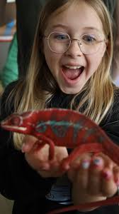 Ge zijt van de Groeneweg als ge