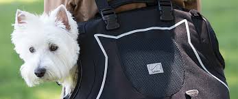 This is the thunder works large pet carrier. Small Pet Carriers Carry Your Pet In Style