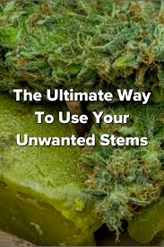 Pin On Icannabis Community Ecosystem