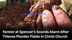 Starcom Network News | A farmer at Spencer’s in Christ ...