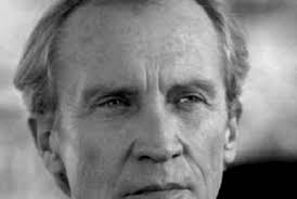 Image result for Eulophia seleensis