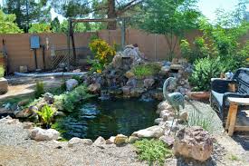 Koi Pond In Las Vegas Koi Pond Pond Koi