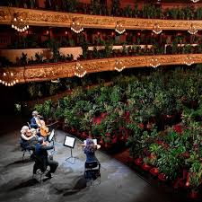 How to use musical in a sentence. Barcelona Opera Branches Out With Audience Of House Plants