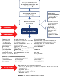 Apr 17, 2020 · diabetic patients must follow some prevention steps to check anemia and keep it from occurring: Diagnosis Of Acquired Aplastic Anemia Sciencedirect