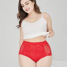 With the spanx panties collection, you can say goodbye to the days of vpl, wedgies, and frumpy undies. China Hipster Fat Girls Underwear Sexy Sheer Transparent Ladies Lace Plus Size Women S Panties Photos Pictures Made In China Com