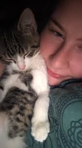 My three cat's say hello from Sweden 😻💞😻💞😻💞 Selma and Lucy didn't  wanted to look in the camera 😁 Sheeta is sitting by the window 😺🐈