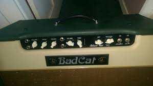 You can easily compare and choose from the 10 best cat amps for you. Mark Sampson Bad Cat Black Cat 30 Matchless Dc30 For Sale In Strandhill Sligo From Rocktrout