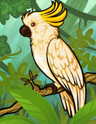 Anda bisa menggunakan gambar mewarnai burung kakak tua untuk background atau wallpaper desktop tablet android atau iphone dan semua jenis smartphone anda secara gratis. Kumpulan Gambar Untuk Belajar Mewarnai Sketsa Gambar Burung Kakak Tua Berwarna