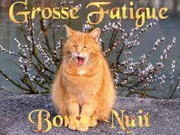 Https Encrypted Tbn0 Gstatic Com Images Q Tbn 3aand9gcstanabl8irrq3qr8t4uyrnorzozt3n9qvnta Usqp Cau