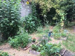 Agriculture Urbaine Metropole Lille Valoriser Encourager Et Inciter Les Citoyens A S Engager Dans Des Programmes D Agriculture En Ville Deja Existants Ou A Inventer