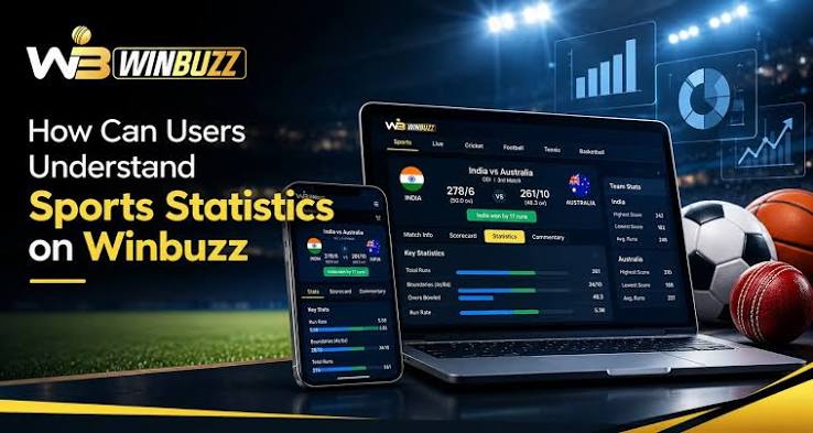 How to Understand Sports Statistics on Winbuzz