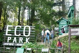 What's the #1 hotel in dhanaulti? Book 4 Day Mussoorie Tour Trip To Mussoorie With Dhanaulti