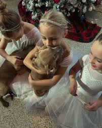 Kentucky Dance Academy added a...