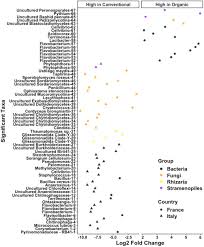 Influence Of Plant Genotype And Soil On The Wheat